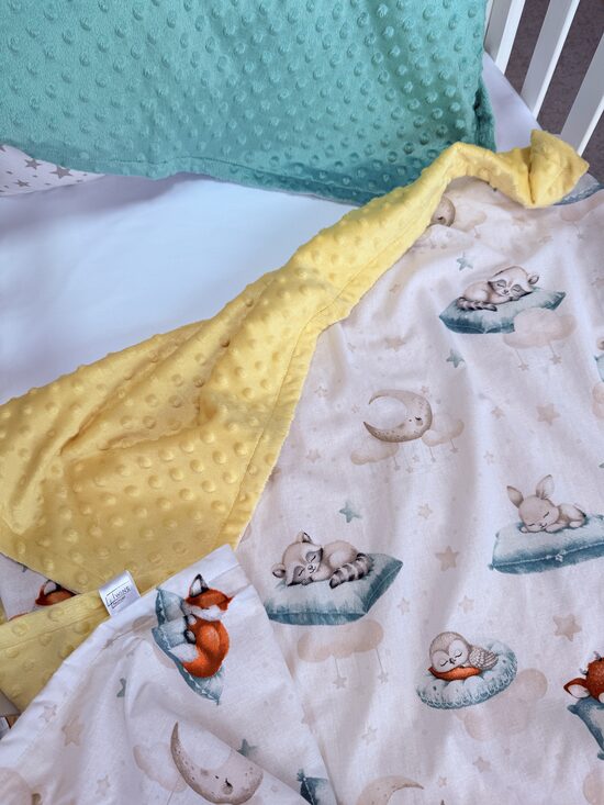 Minky fleece blanket - A dream