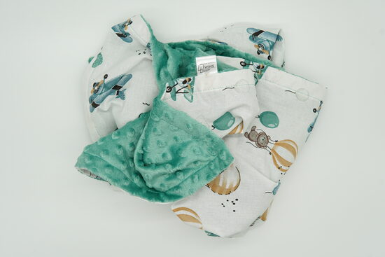 Minky fleece blanket - Airplanes