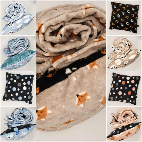 PLEDU UN SPILVENU KOMPLEKTI